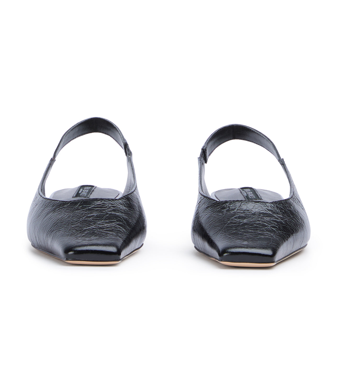 Akita Black Crinkle