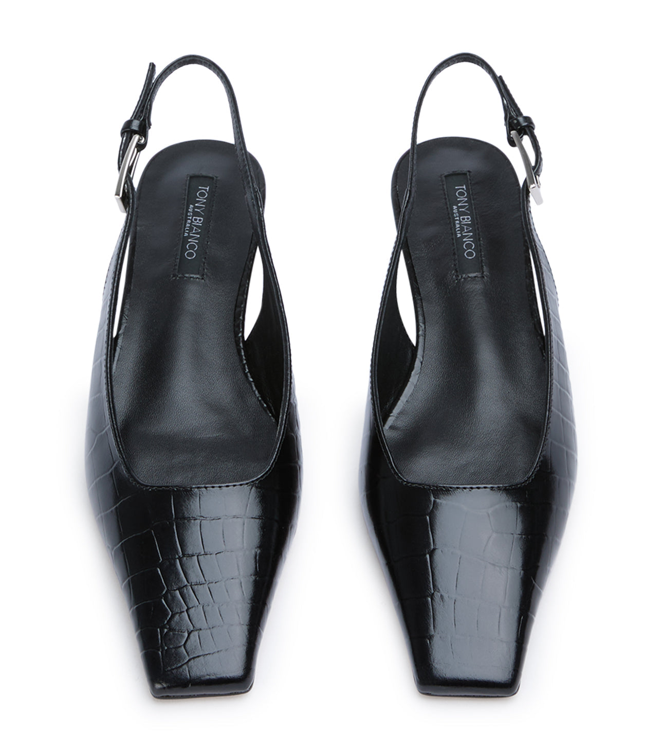 Amaro Black Croc