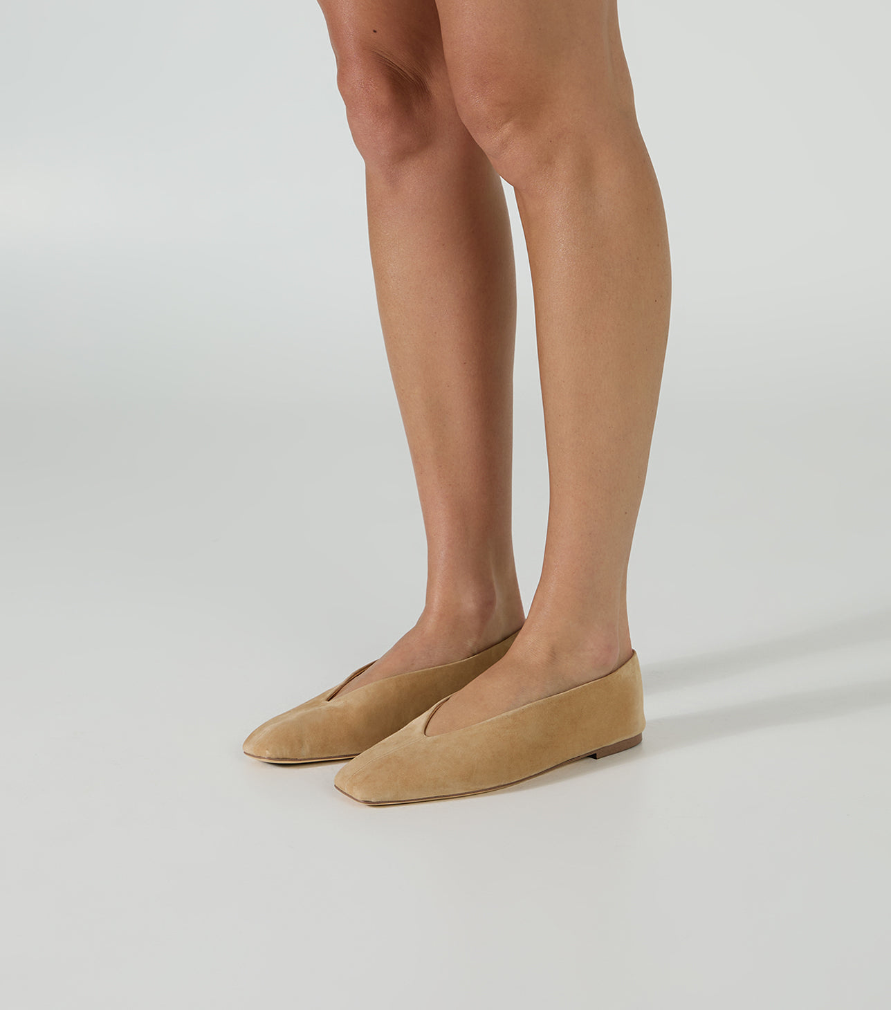 Brash Wheat Suede