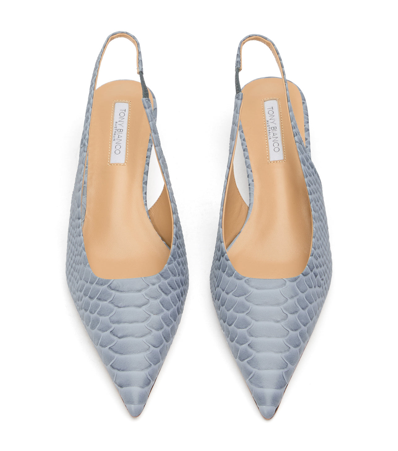 Catie Denim Python