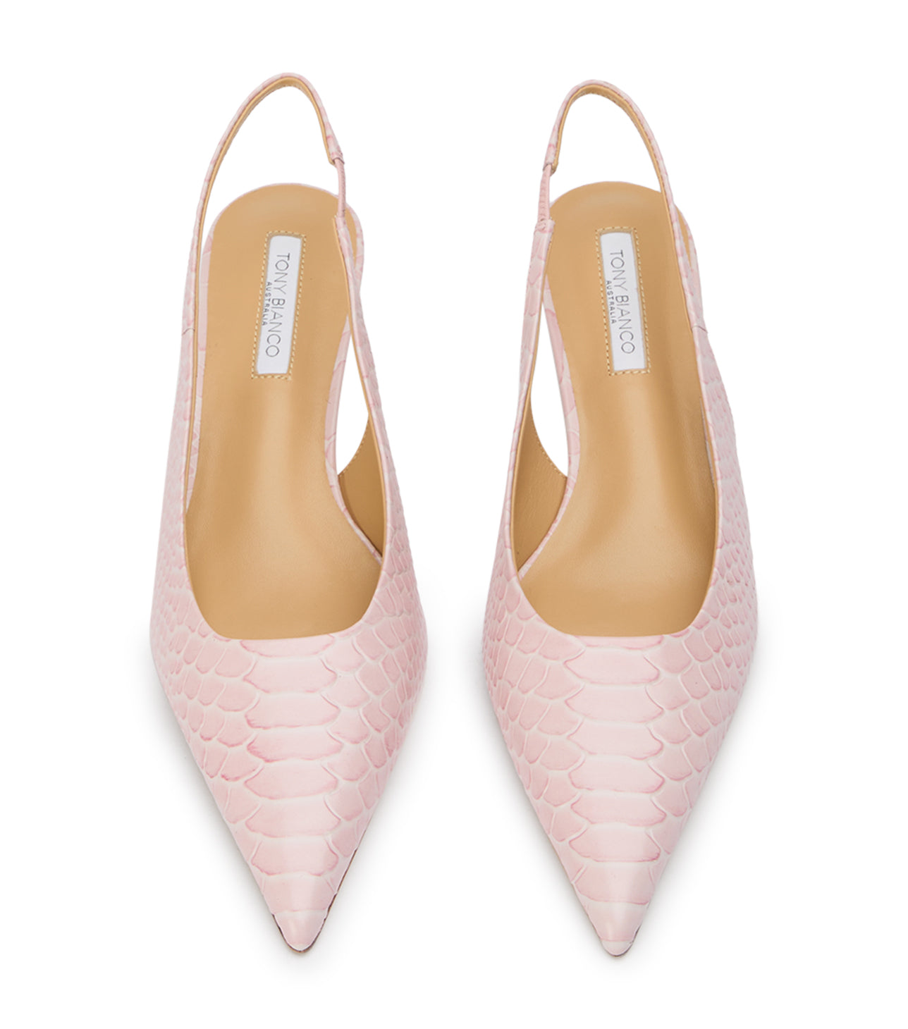 Catie Pink Python