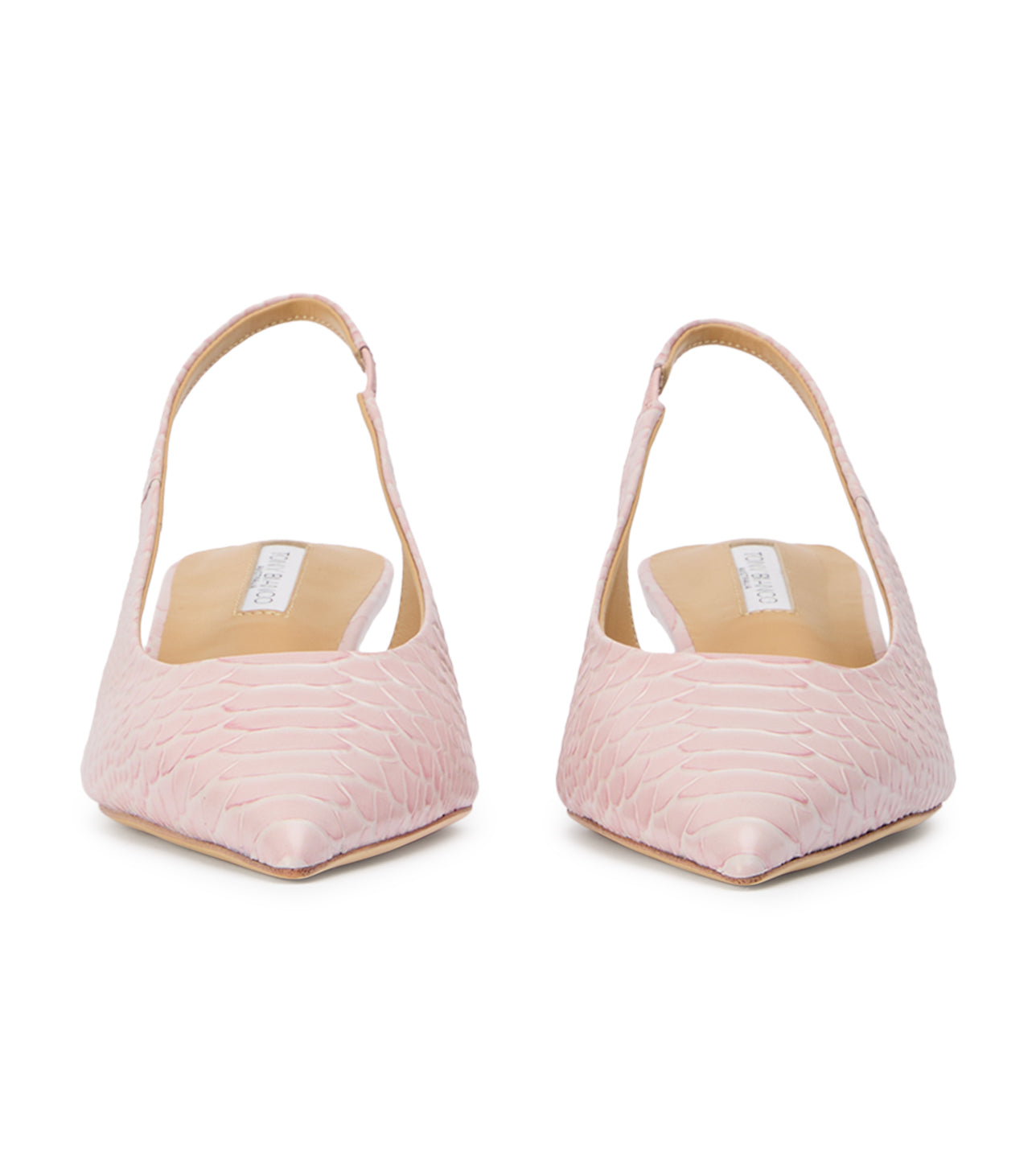 Catie Pink Python