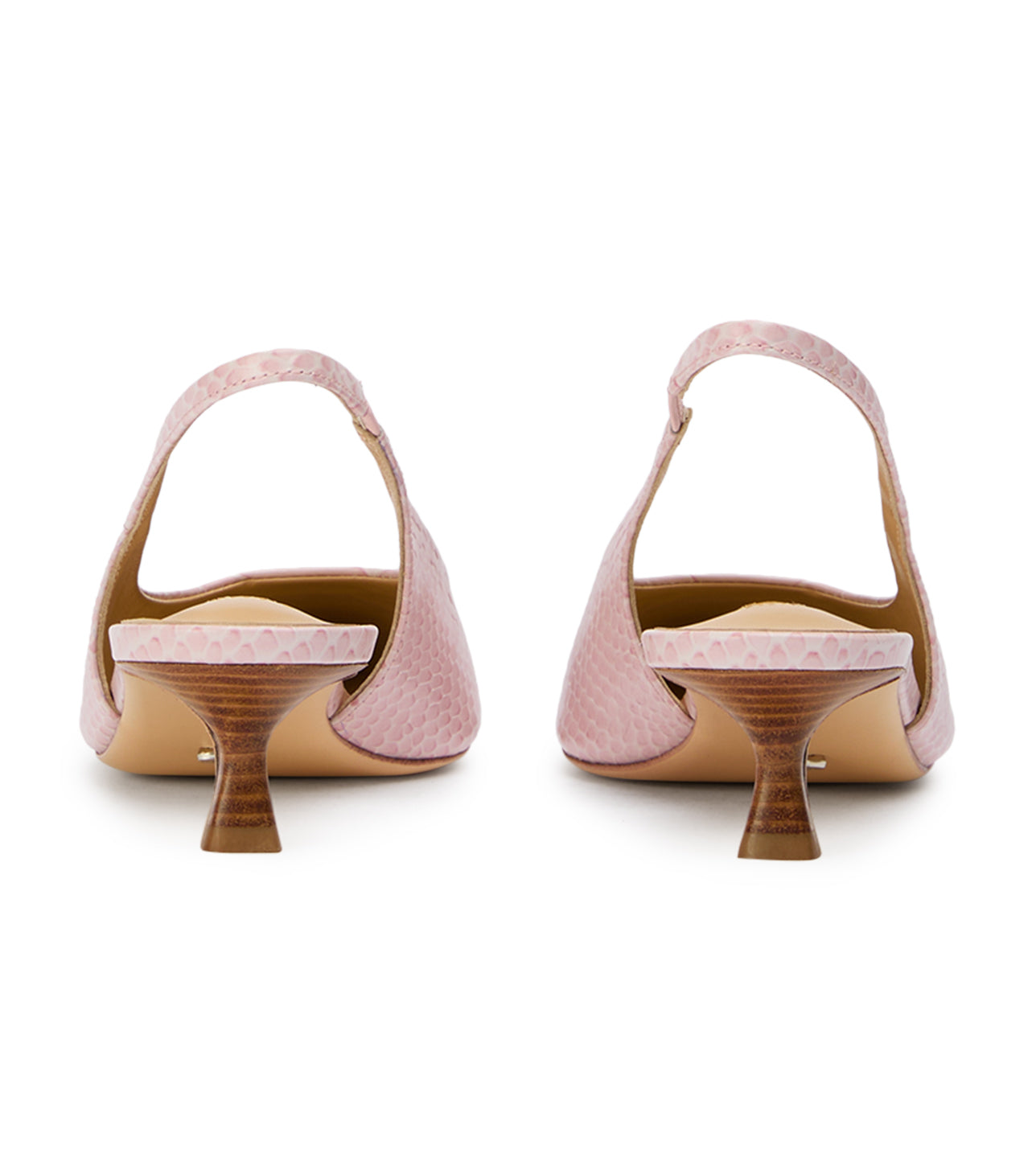 Catie Pink Python