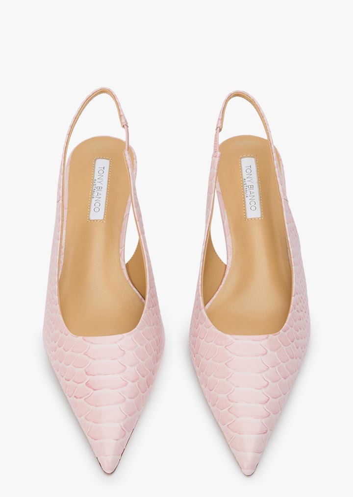 Catie Pink Python