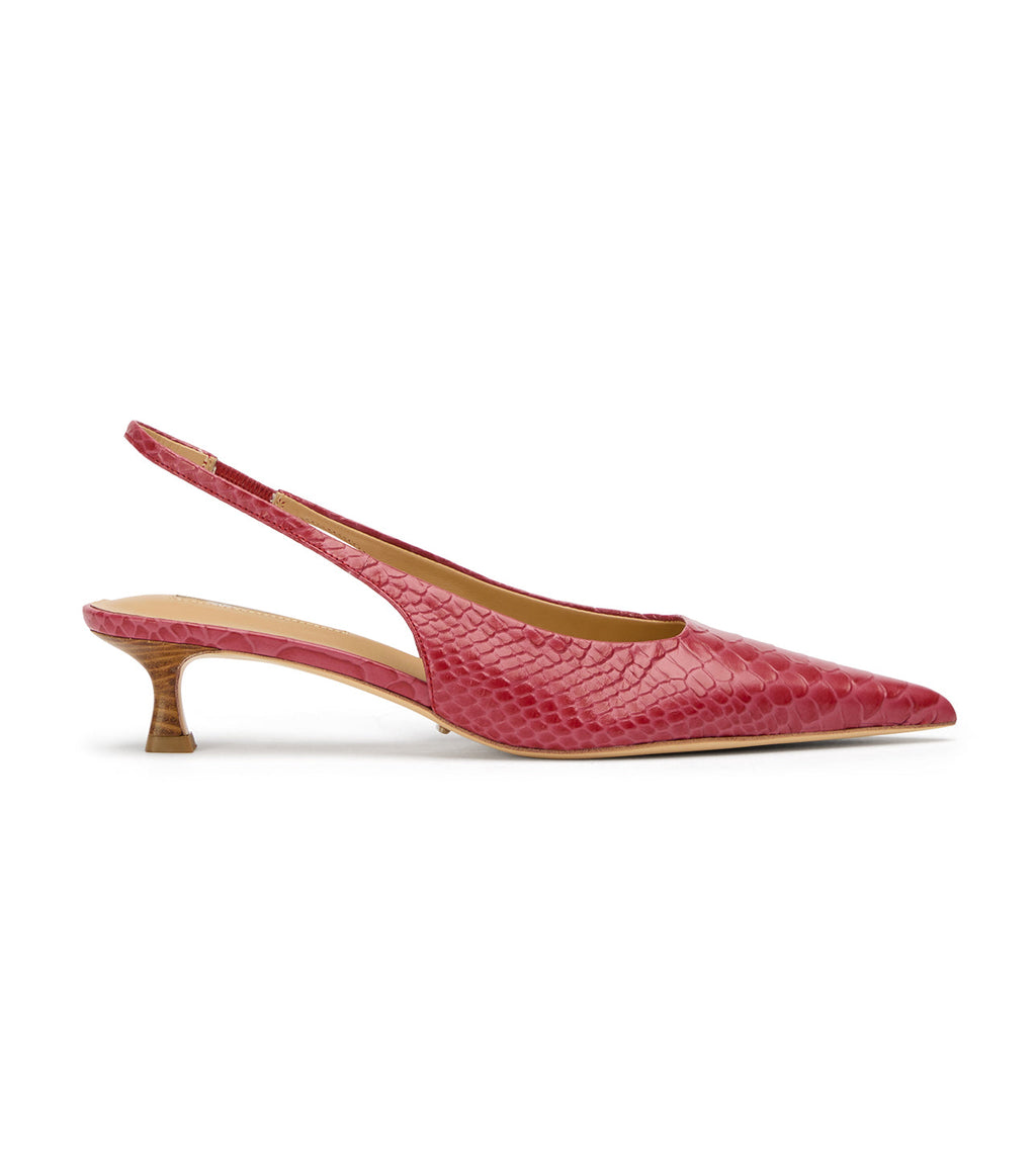 Catie Scarlet Python