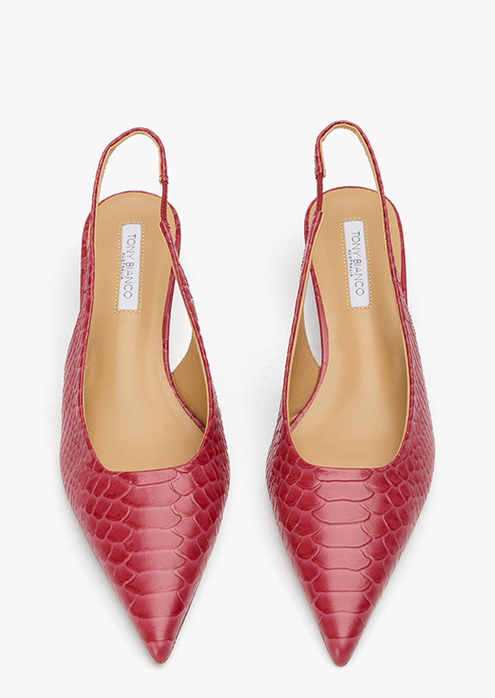 Catie Scarlet Python