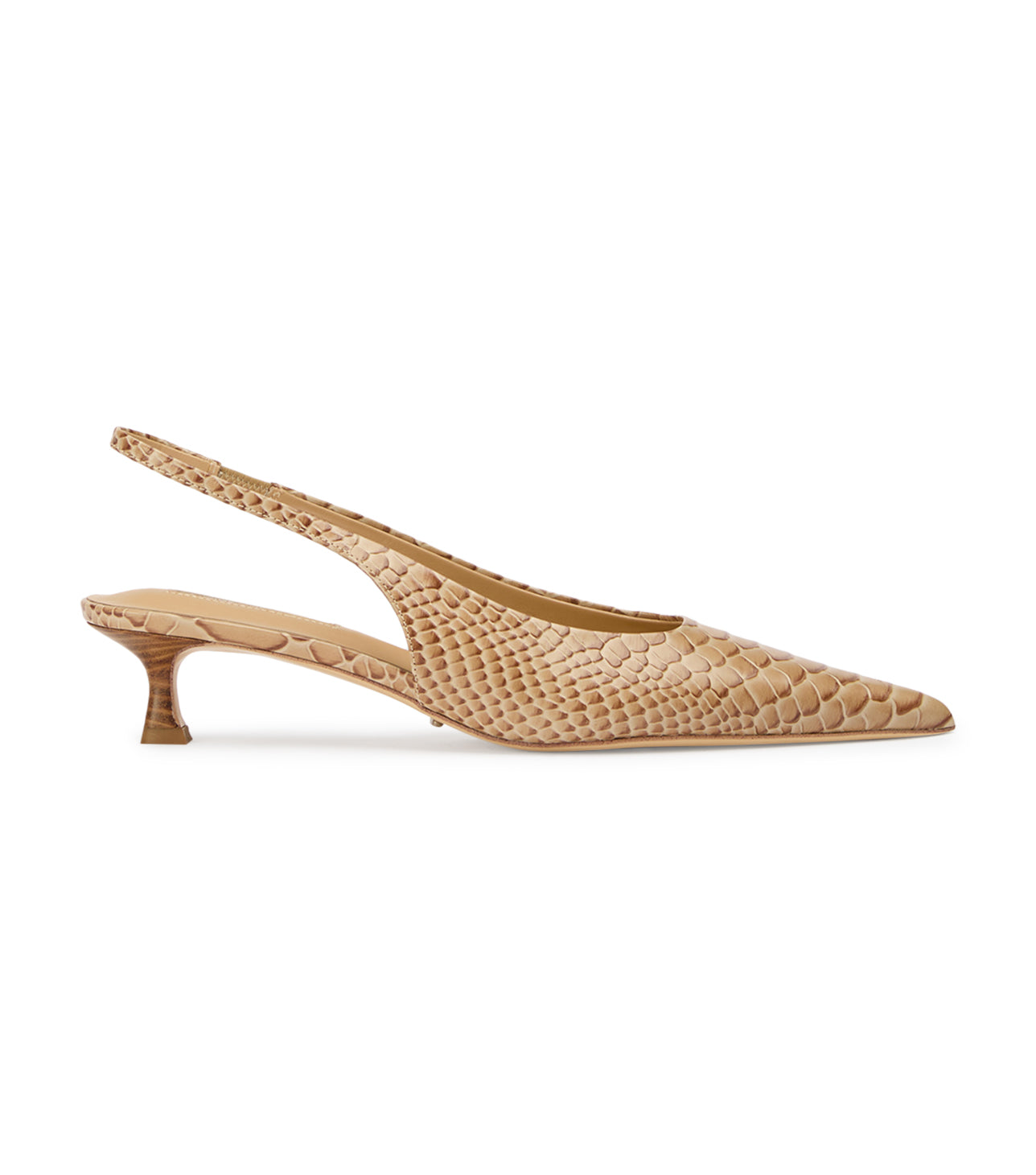Catie Tan Python
