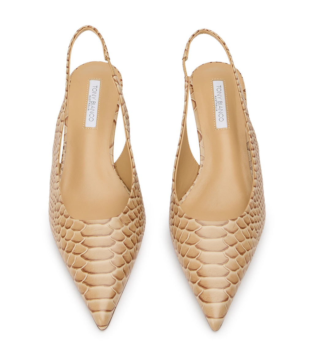 Catie Tan Python