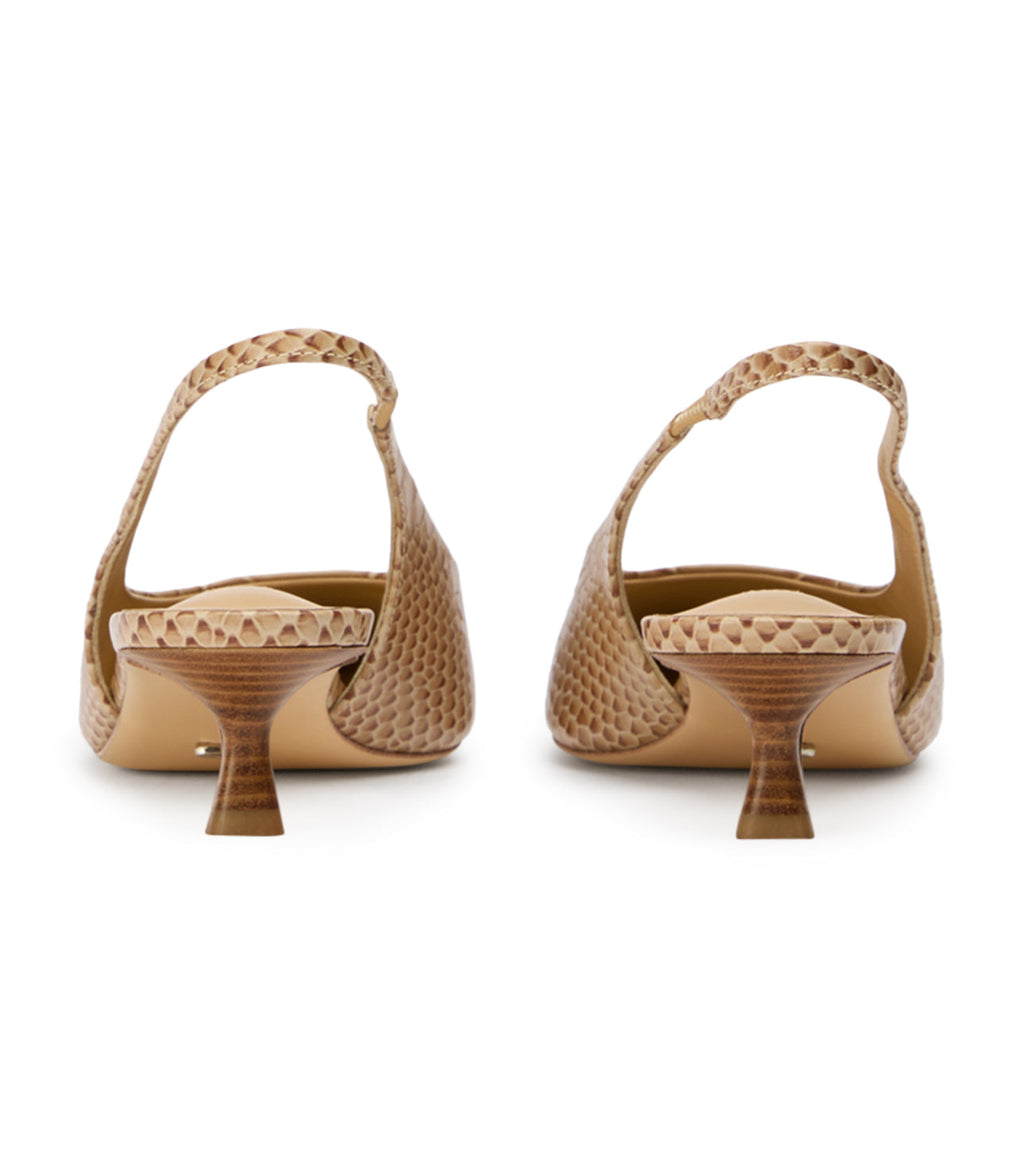 Catie Tan Python