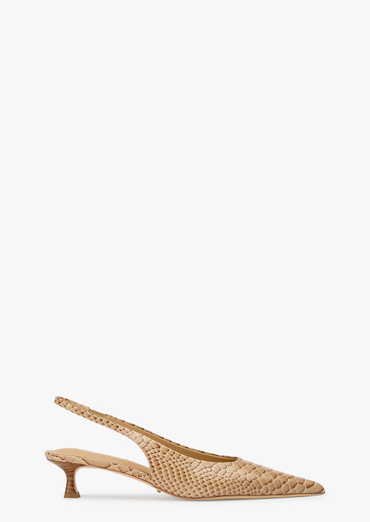 Catie Tan Python