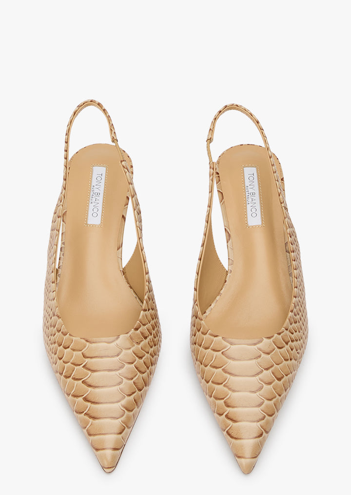 Catie Tan Python