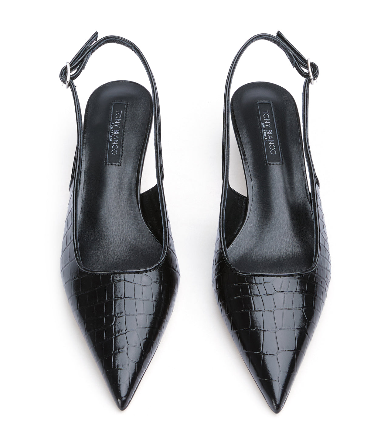 Crush Black Croc