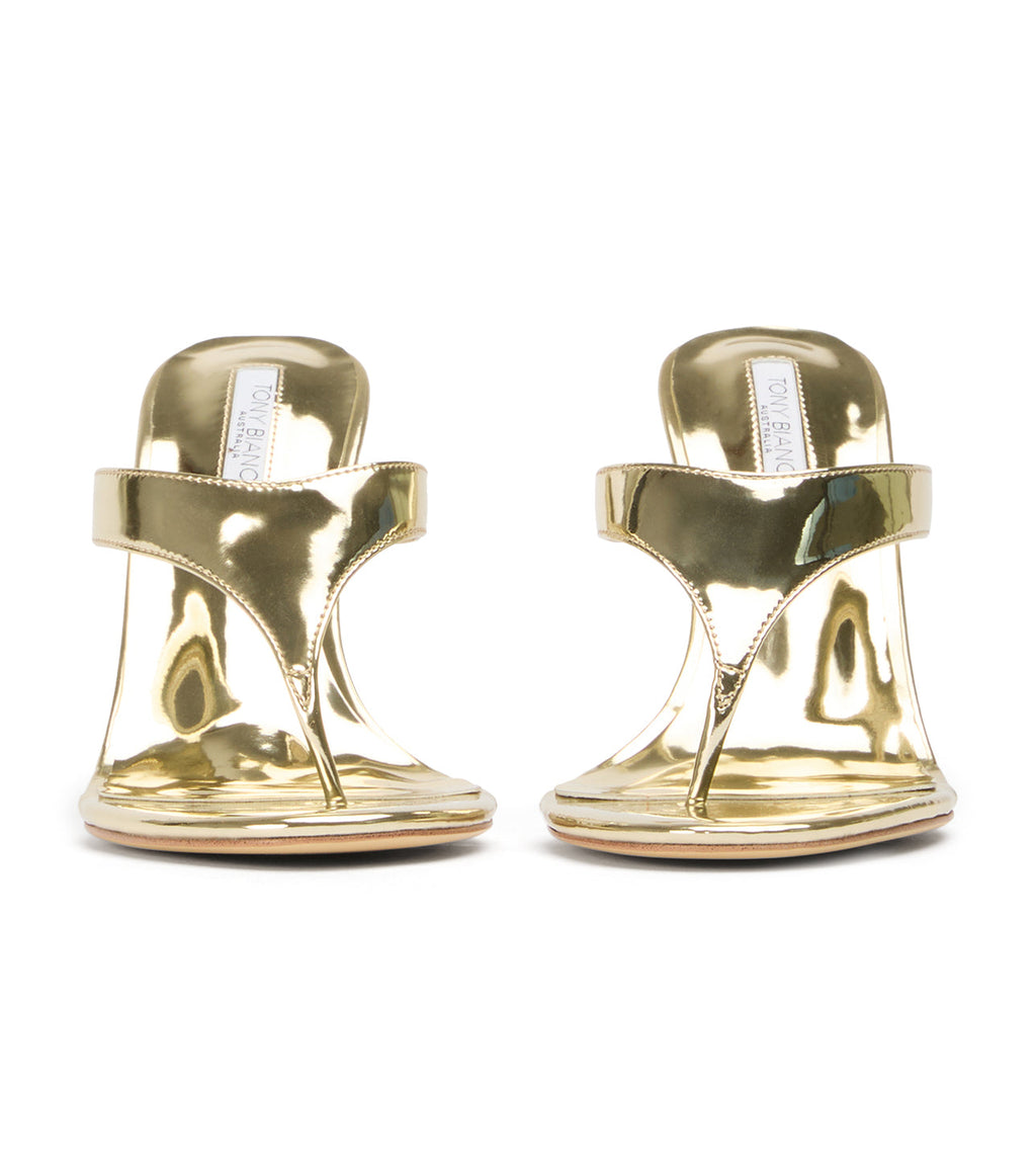 Dynasty Gold Shine