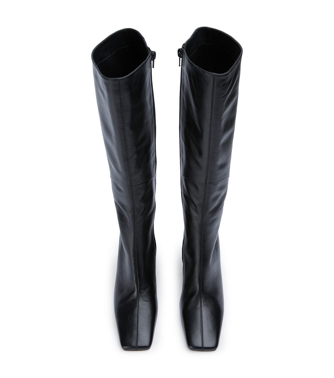 Foxy Black Venice