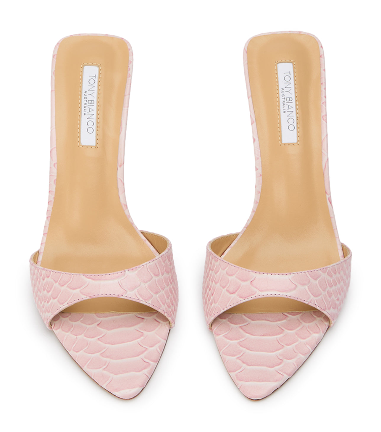 Hallie Pink Python
