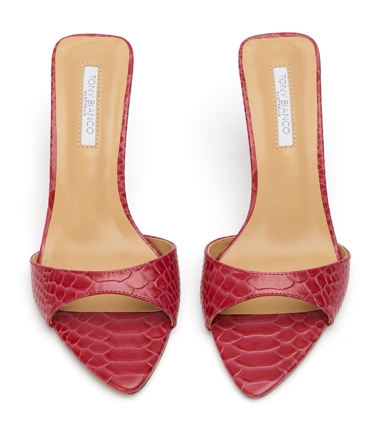 Hallie Scarlet Python