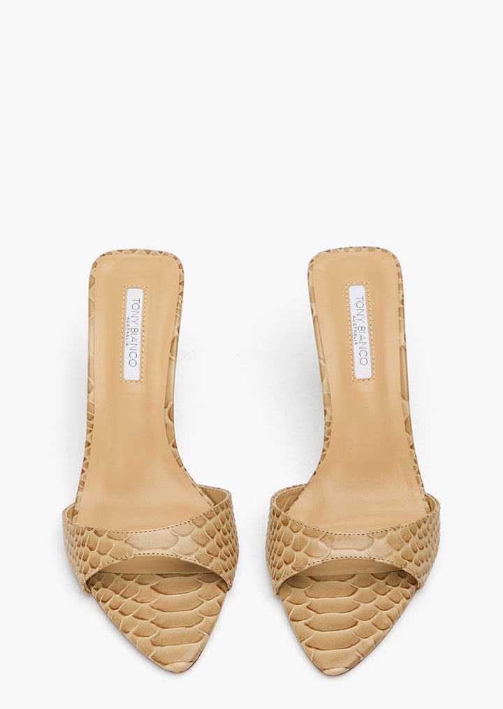 Hallie Tan Python