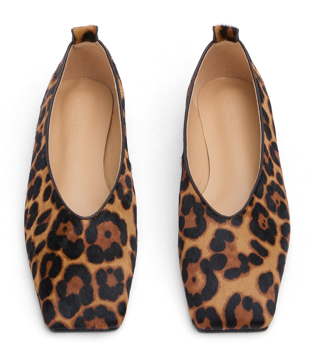 Hazel Brown Leopard