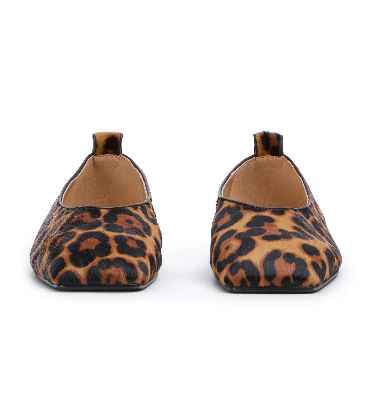Hazel Brown Leopard