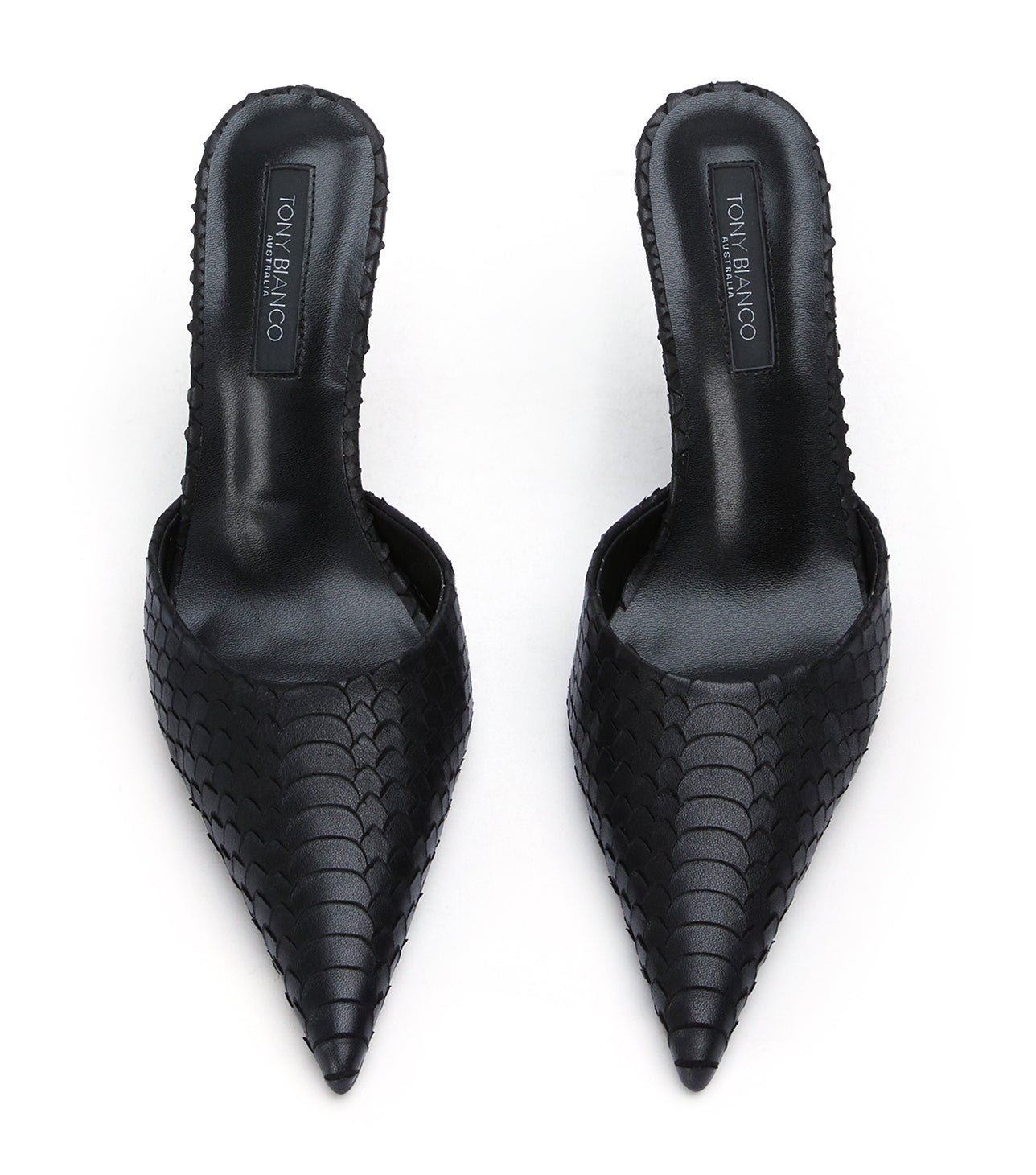 Imax Black Python