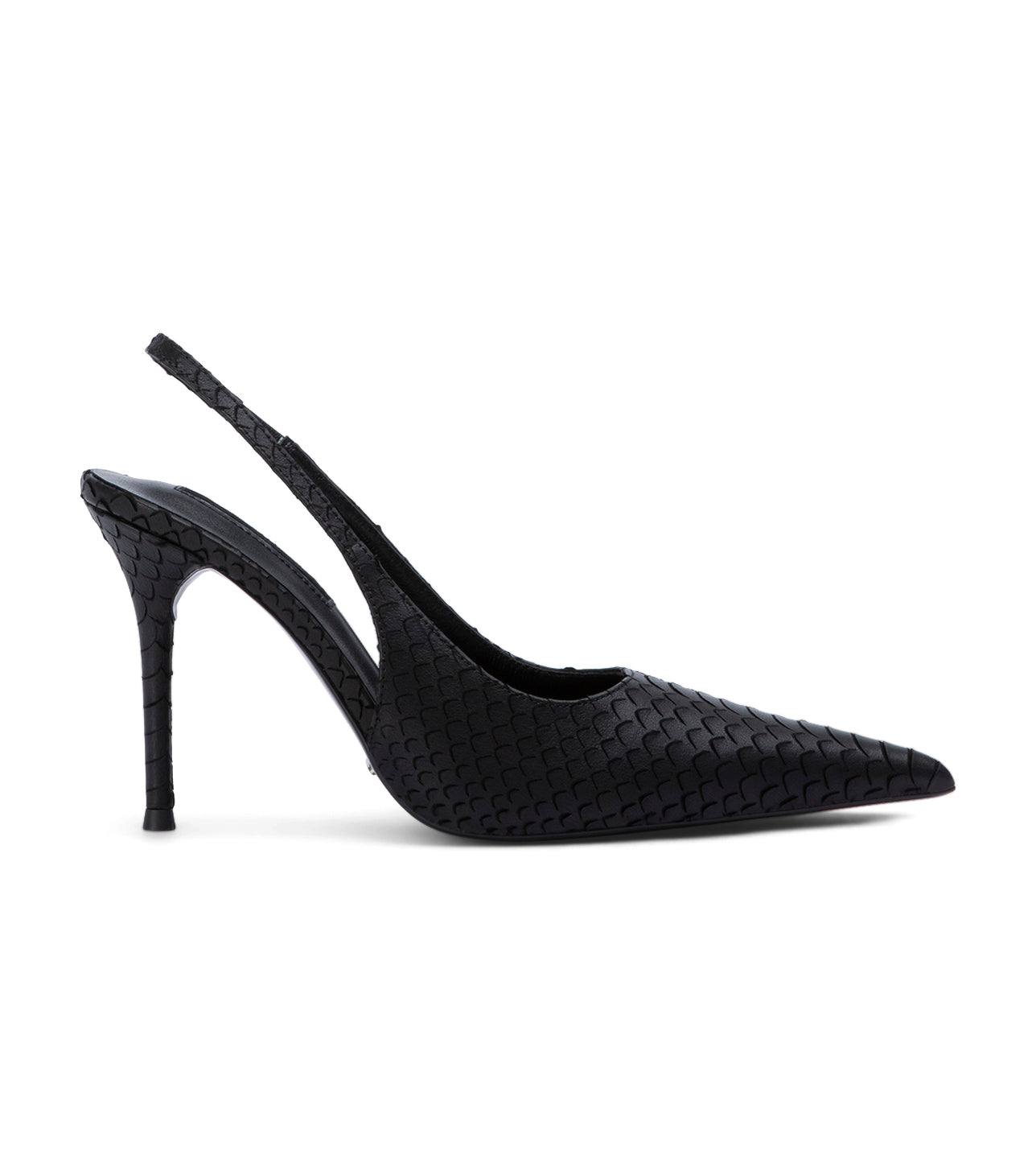 Ivy Black Python