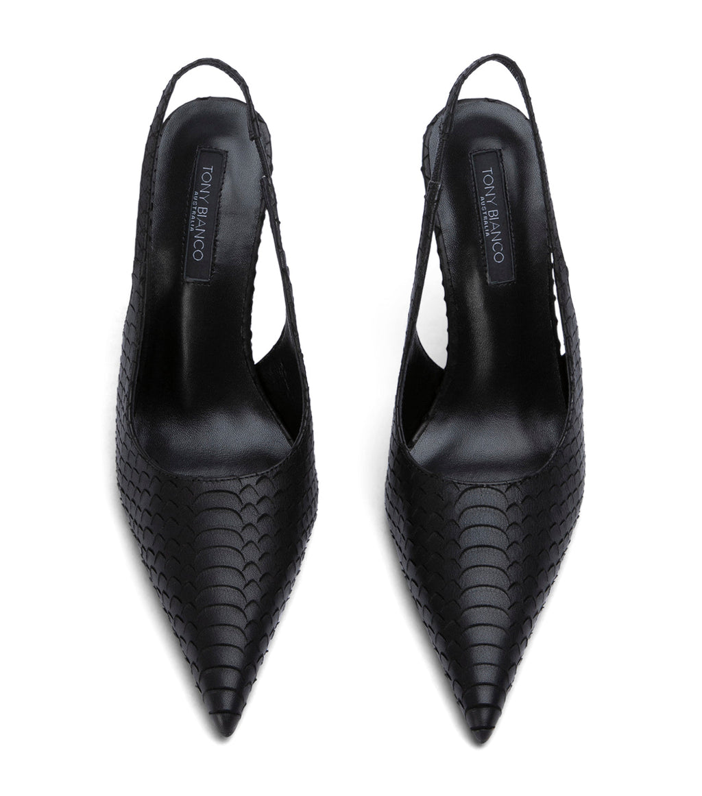 Ivy Black Python
