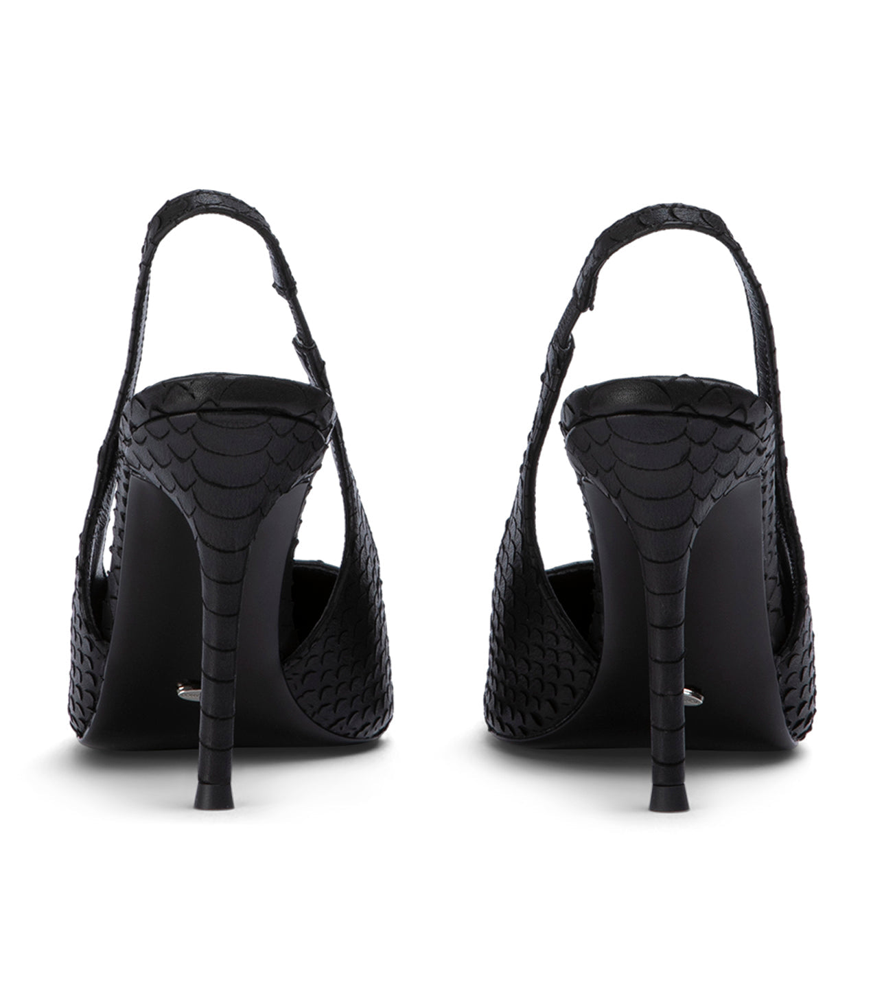 Ivy Black Python