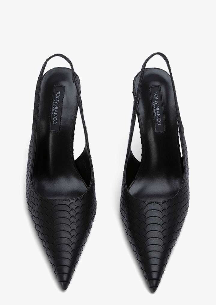 Ivy Black Python
