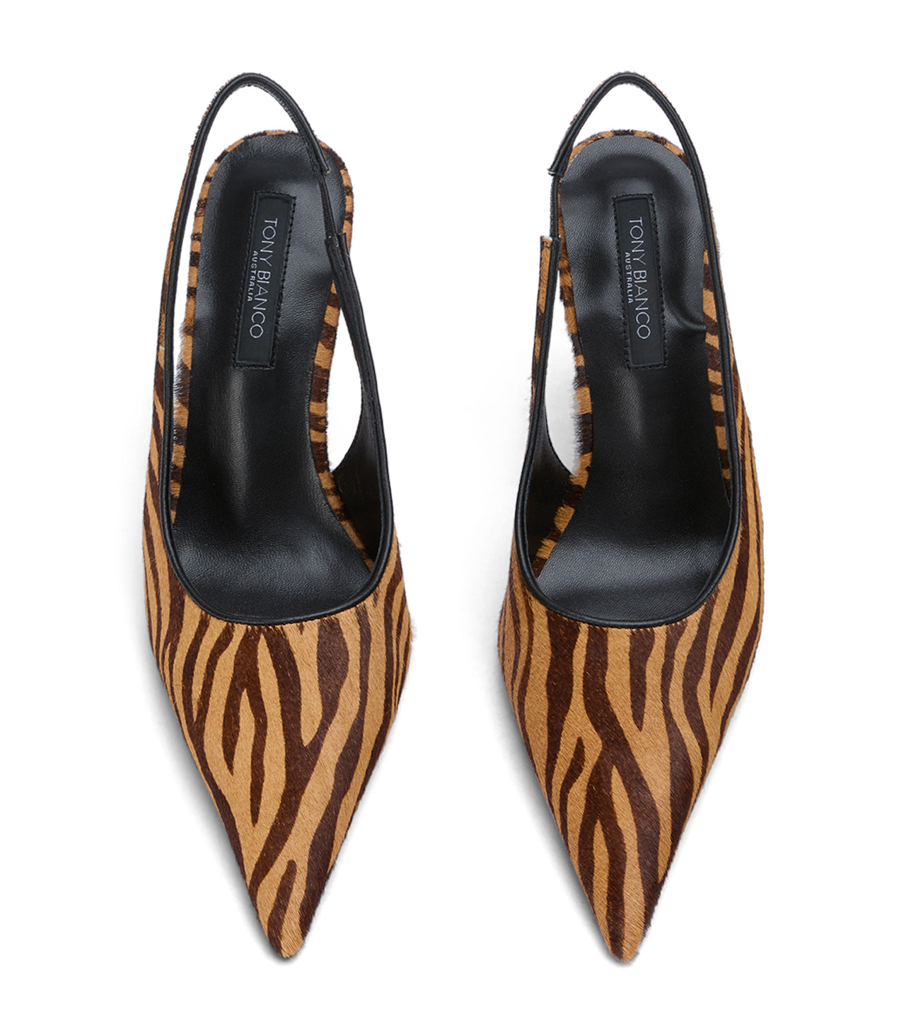 Ivy Brown Zebra