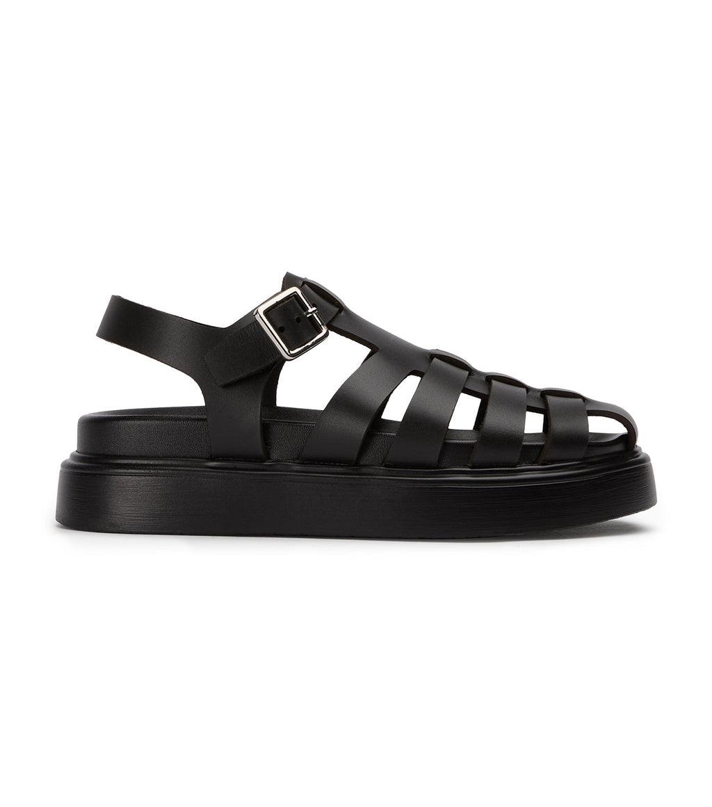 Jethro Black Tuscon