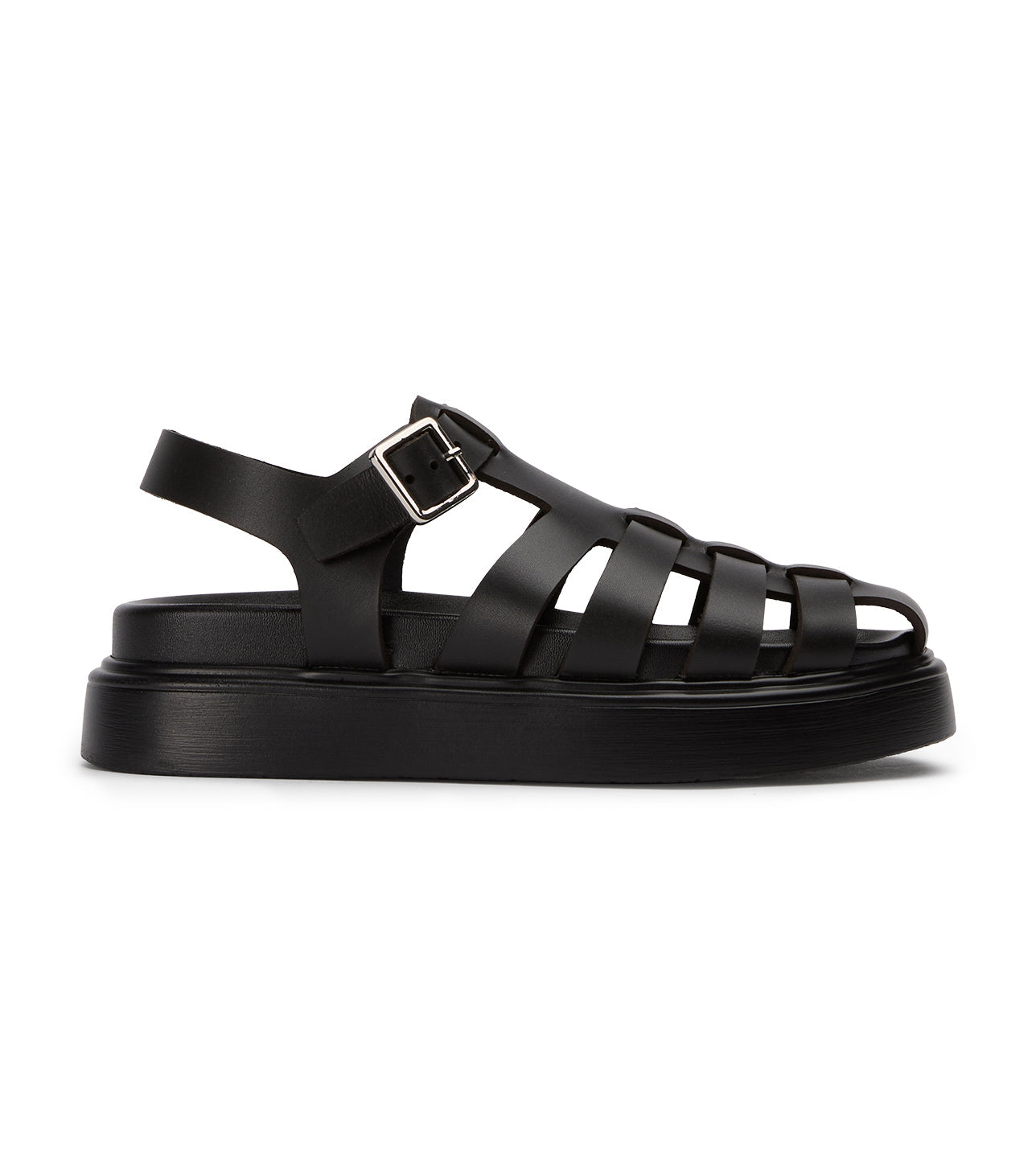 Jethro Black Tuscon