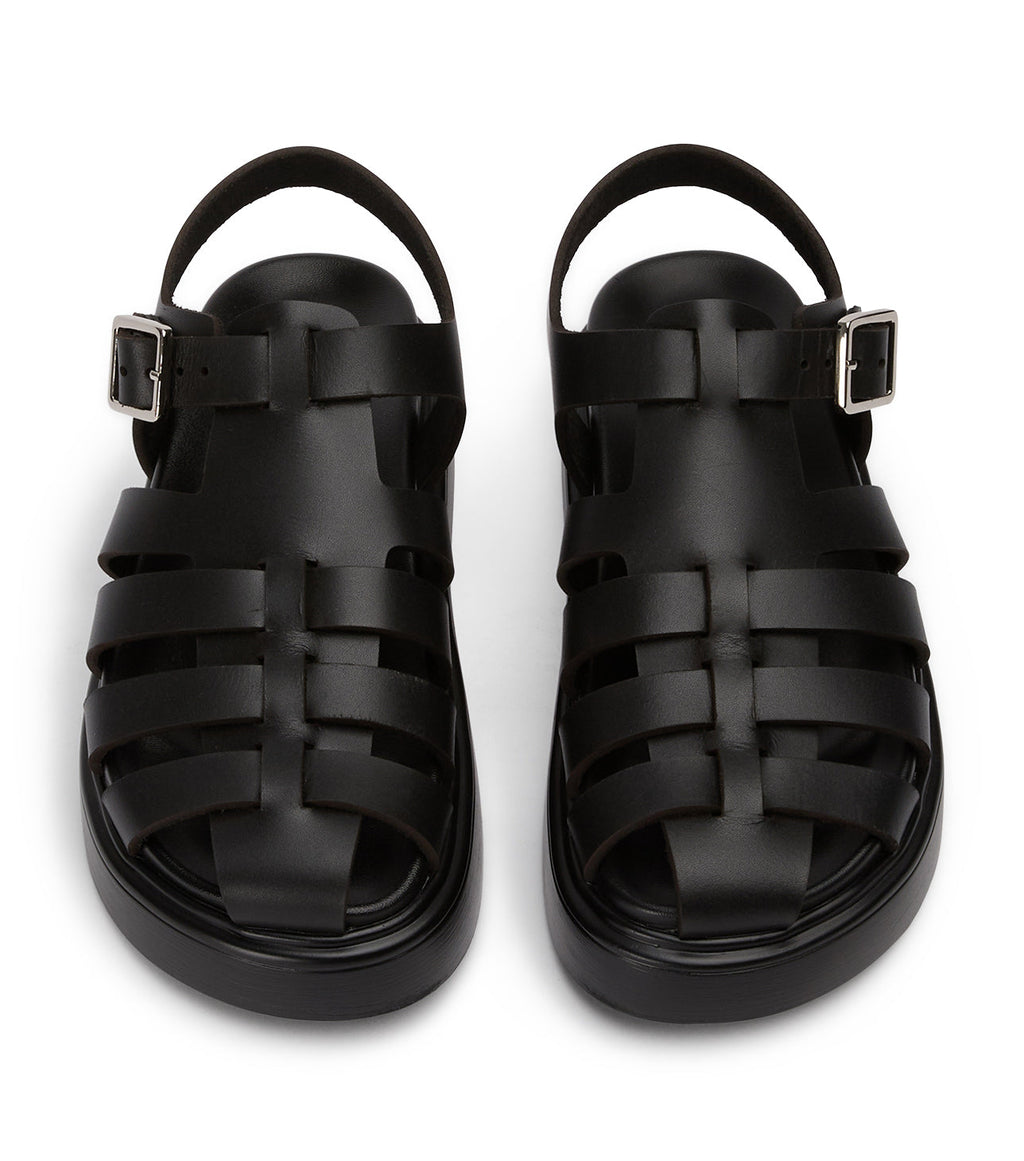 Jethro Black Tuscon