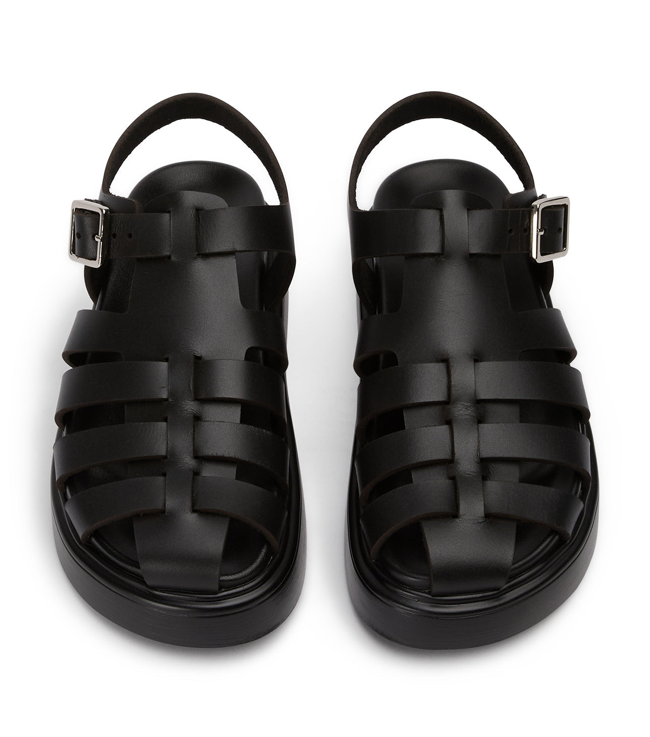Jethro Black Tuscon