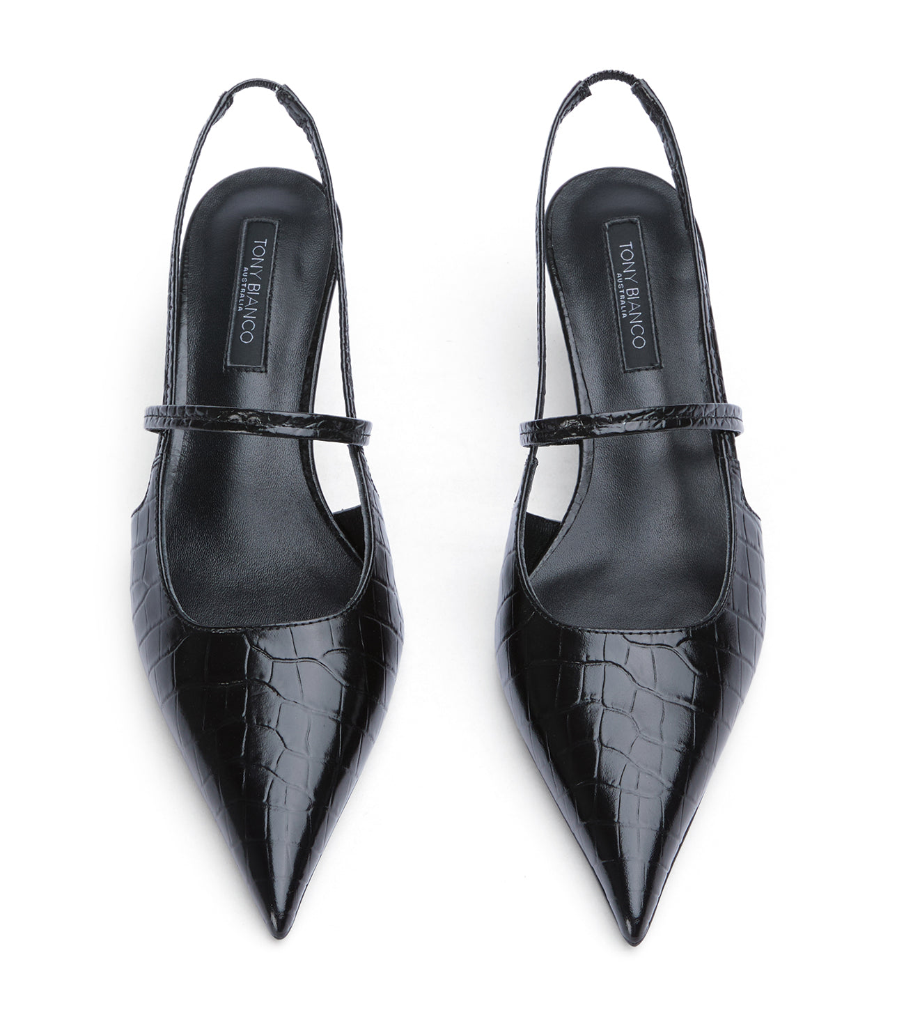 Kayla Black Croc