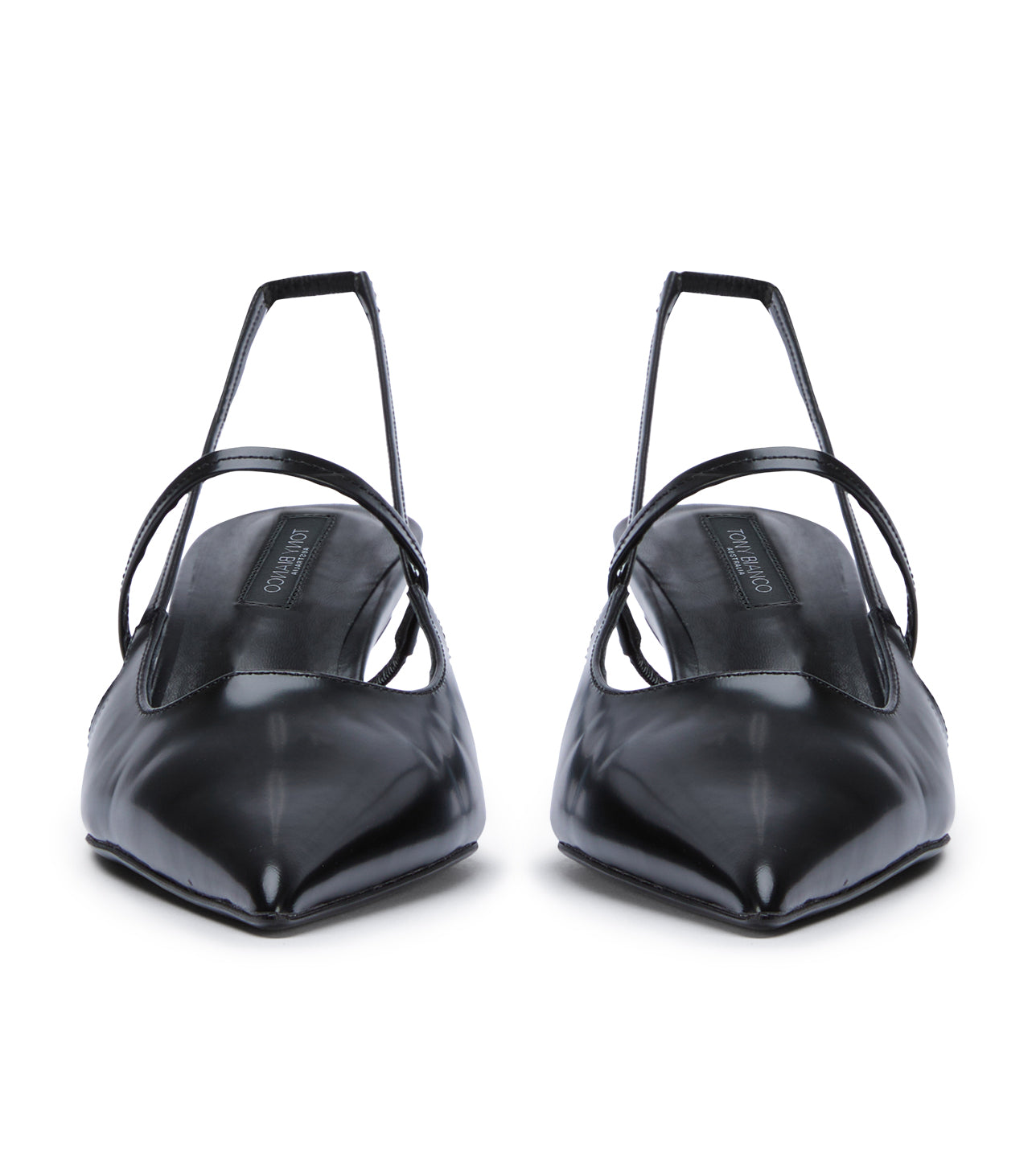 Kayla Black Hi Shine