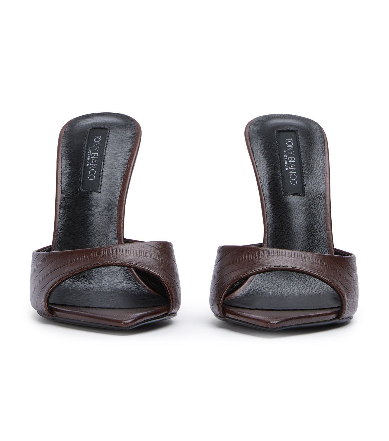 Malibu Brown Anguille
