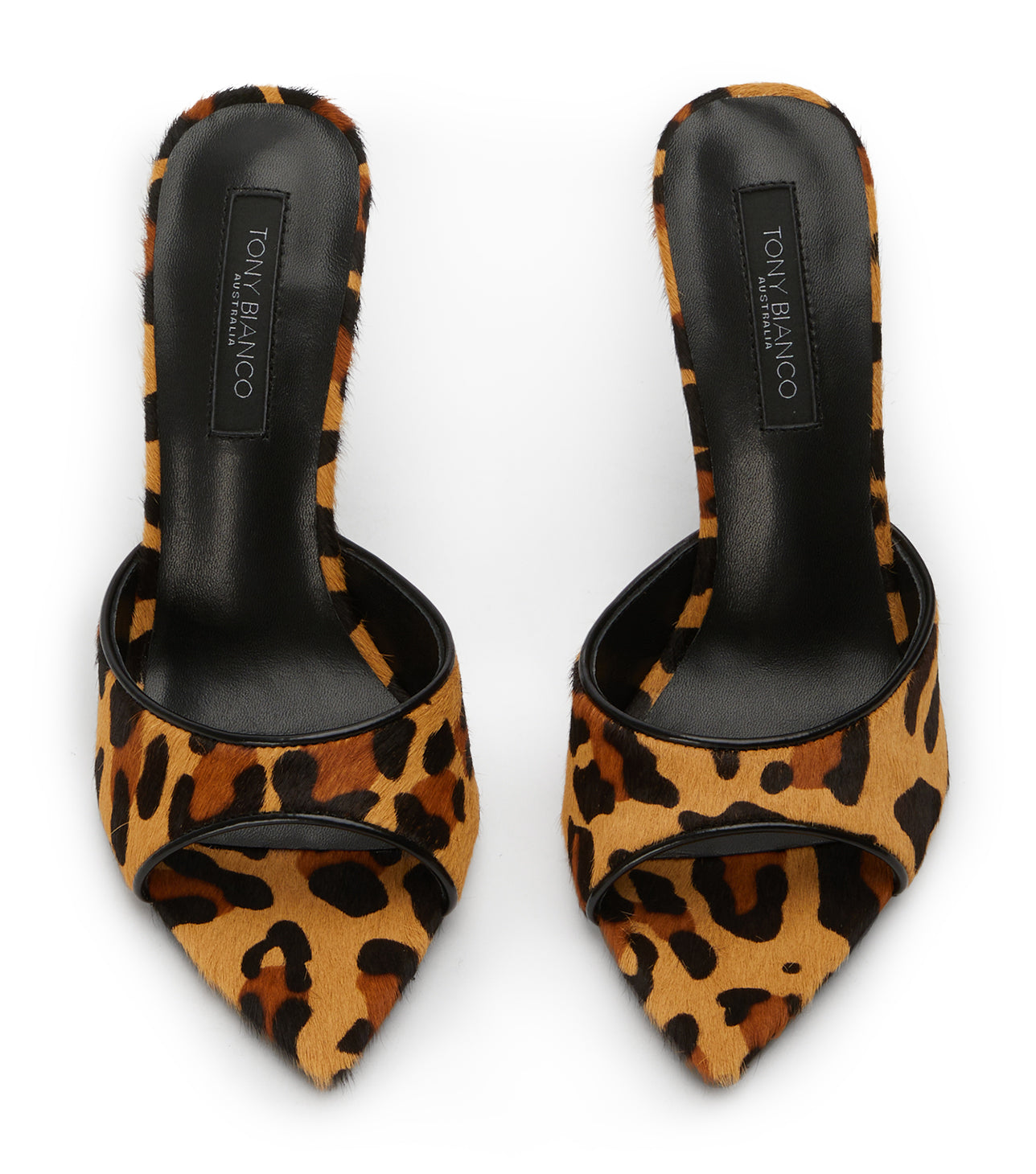 Malibu Leopard Pony