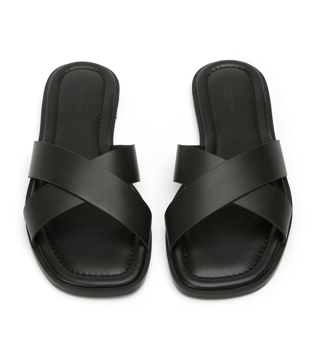 Maple Black Como