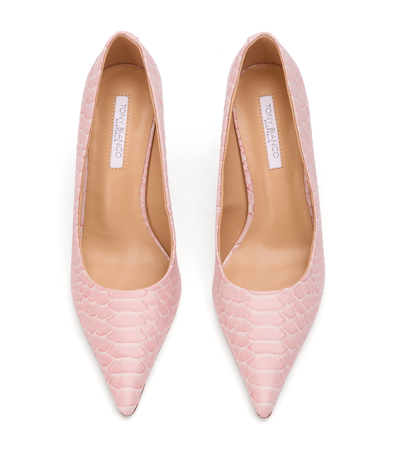 Niki Pink Python