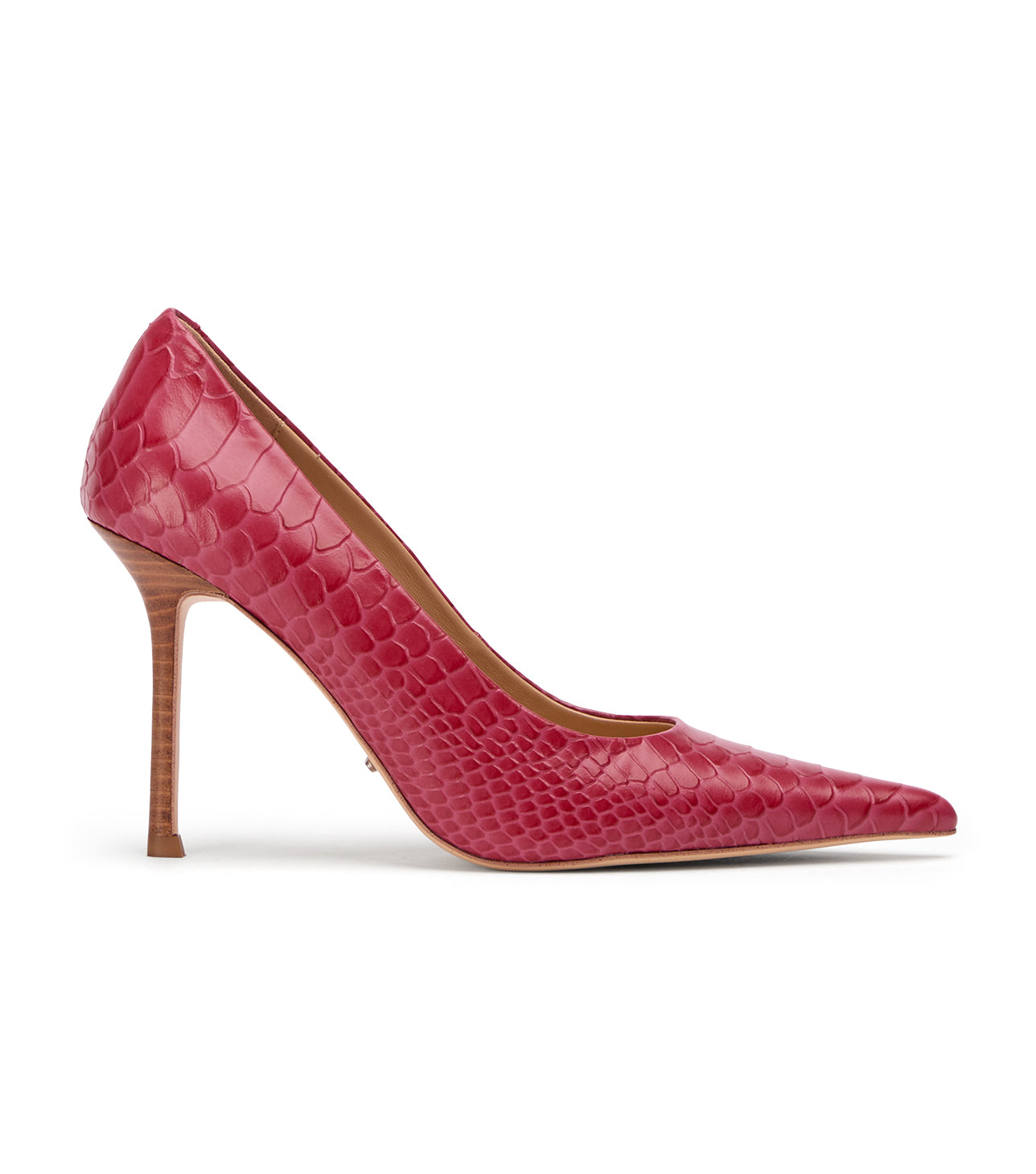 Niki Scarlet Python