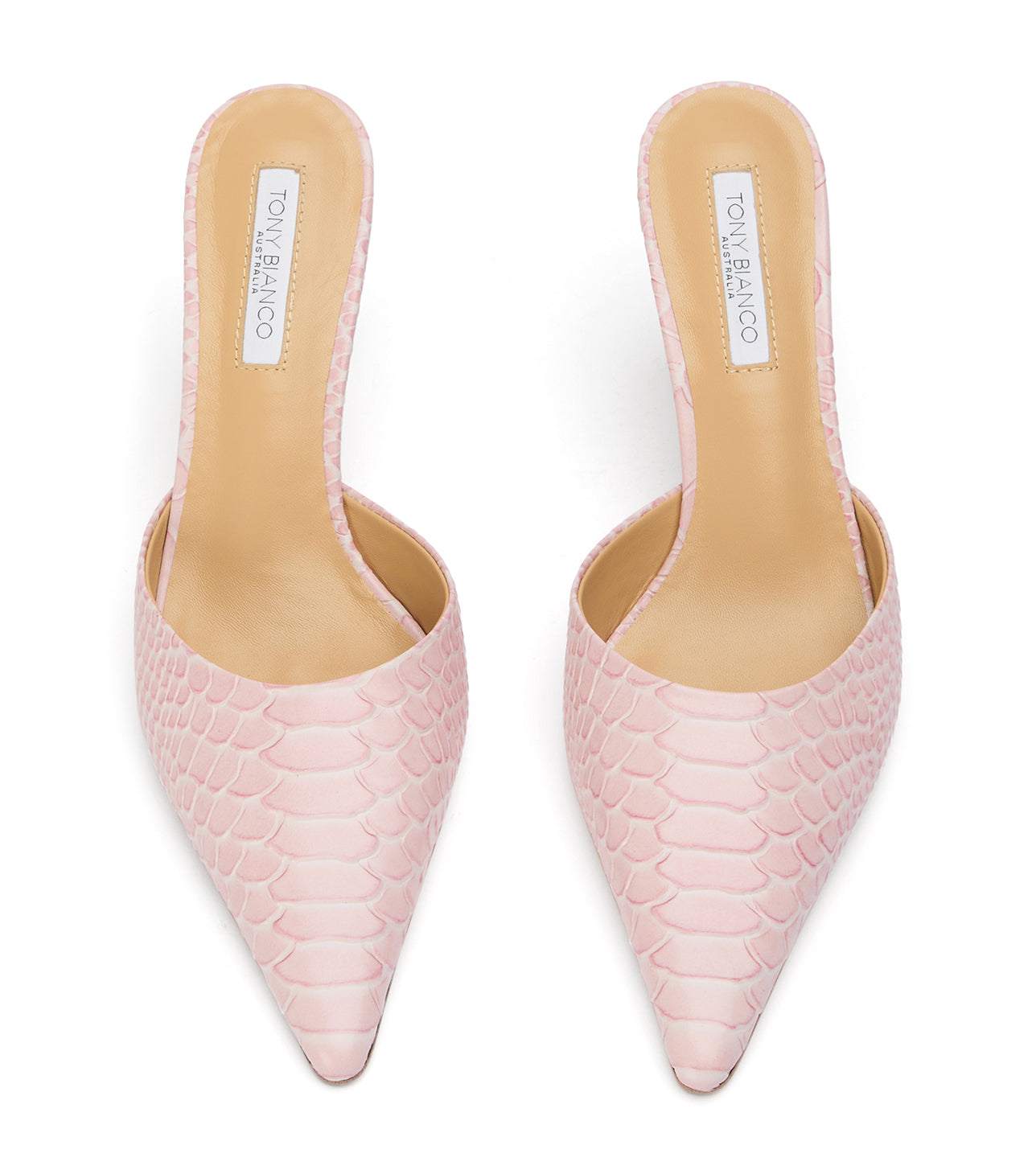 Sicily Pink Python