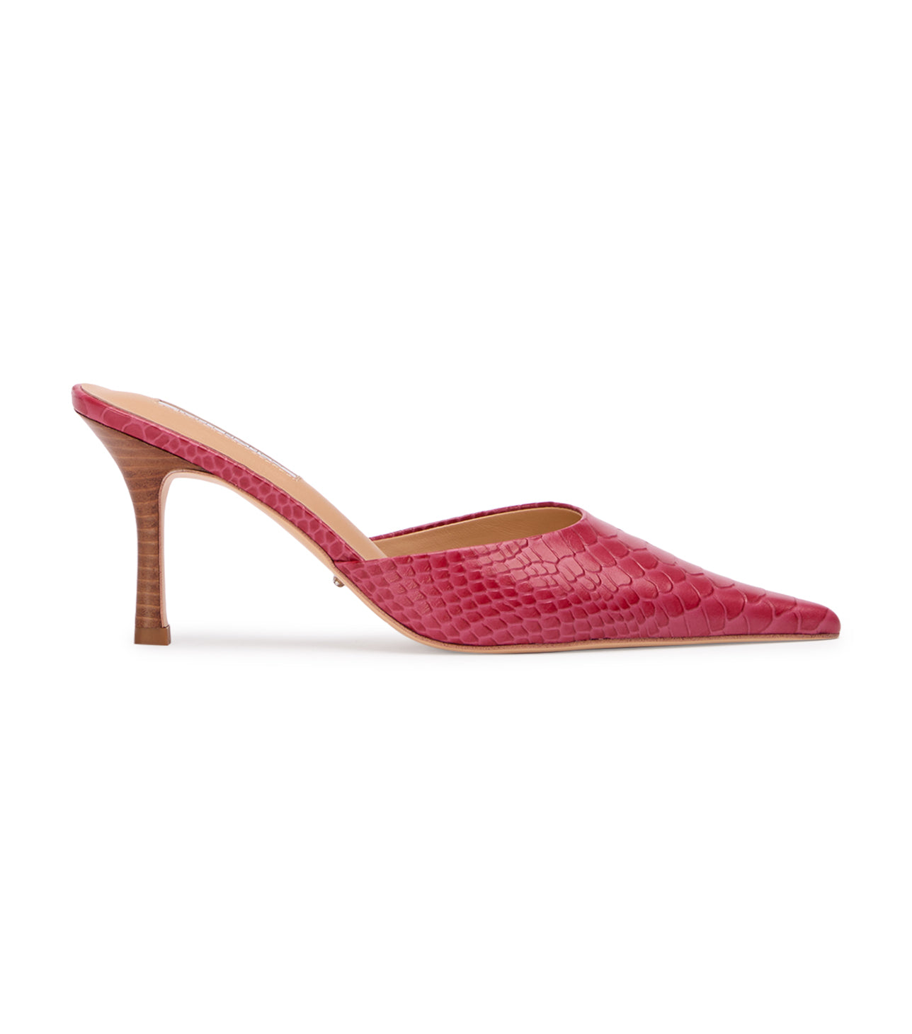Sicily Scarlet Python