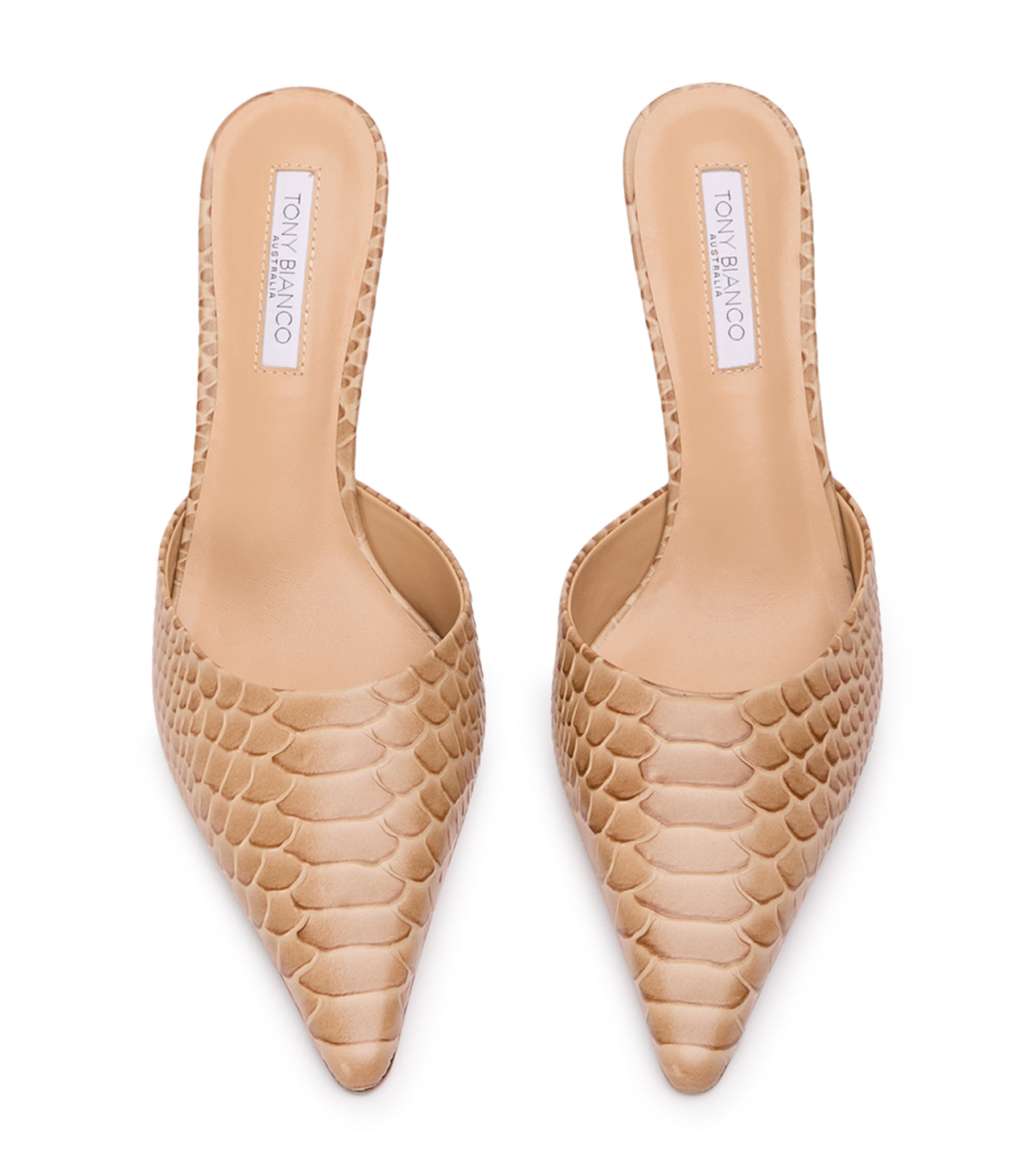 Sicily Tan Python