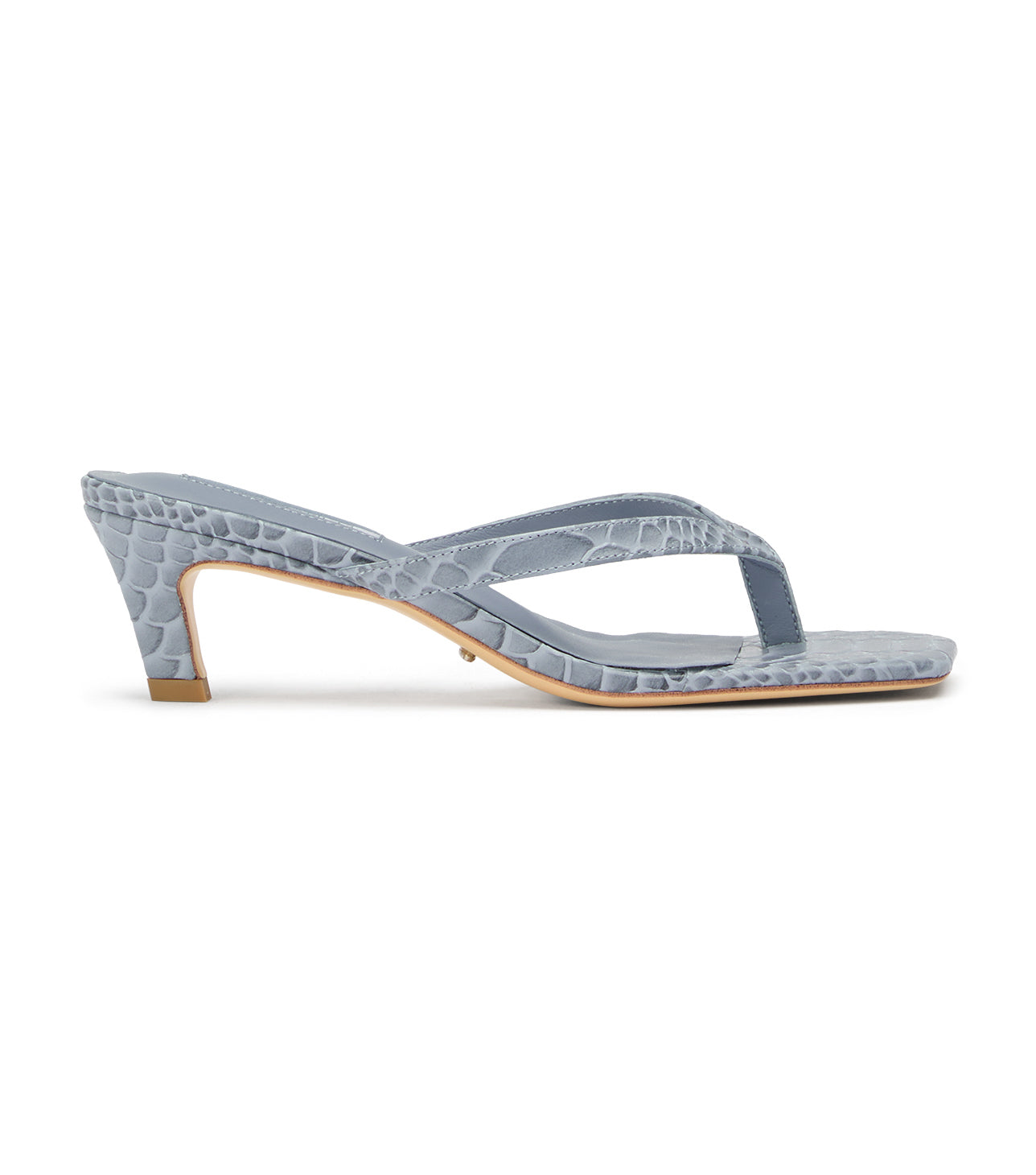 Topaz Denim Python